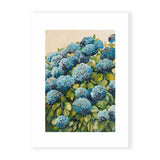 Aqua Hydrangea II