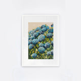 Aqua Hydrangea II