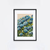 Aqua Hydrangea II