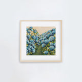 Aqua Hydrangea Square