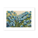 Aqua Hydrangea Landscape