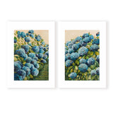 Aqua Hydrangea Pair