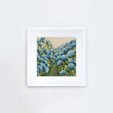 Aqua Hydrangea Square