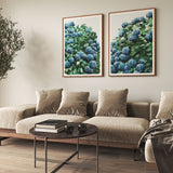 Blue Hydrangea Pair