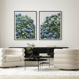 Blue Hydrangea Pair