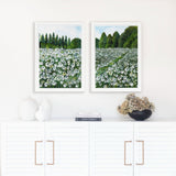 Daisy Fields Pair
