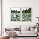 Daisy Fields Pair