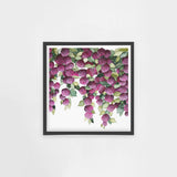 Falling Hydrangeas Square