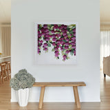 Falling Hydrangeas Square
