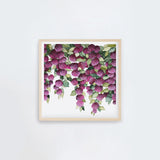 Falling Hydrangeas Square