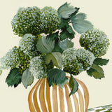 Hydrangea Vase