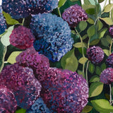 Lilac Hydrangea III
