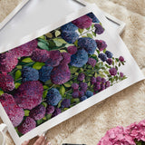 Lilac Hydrangea III
