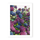 Lilac Hydrangea III