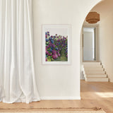 Lilac Hydrangea I