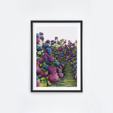 Lilac Hydrangea I