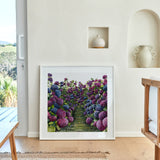 Lilac Hydrangea Square