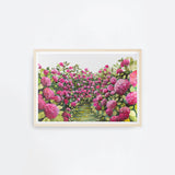 Pink Hydrangeas Landscape