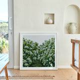 Sage Hydrangea Square