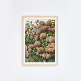 Bronze Hydrangea II