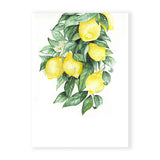 Lemons