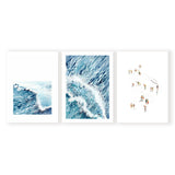 Coastal Triplet