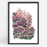Eden Garden III