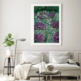 Hydrangea Field