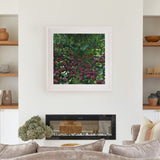 Magenta Hydrangea Square