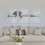 Lake Wanaka Triplet