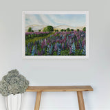 Lupin Fields Landscape