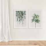 Plant Pair