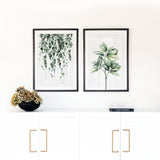 Plant Pair
