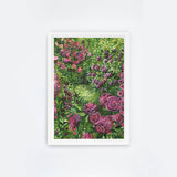 Rose Gardens