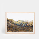 Ahuriri Valley Landscape