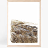 Beachgrass I
