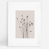Beige Grass