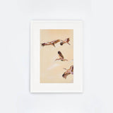 Birdscape I