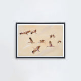 Birdscape Landscape