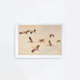 Birdscape Landscape