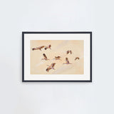 Birdscape Landscape