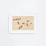 Birdscape Landscape
