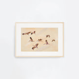 Birdscape Landscape