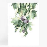 Fruit Pair