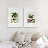 Chex Pair