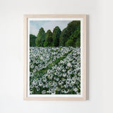 Daisy Fields II