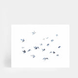 Flock