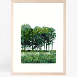 Forest II