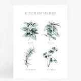 Kitchen Herbs
