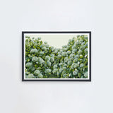 Sage Hydrangea Landscape